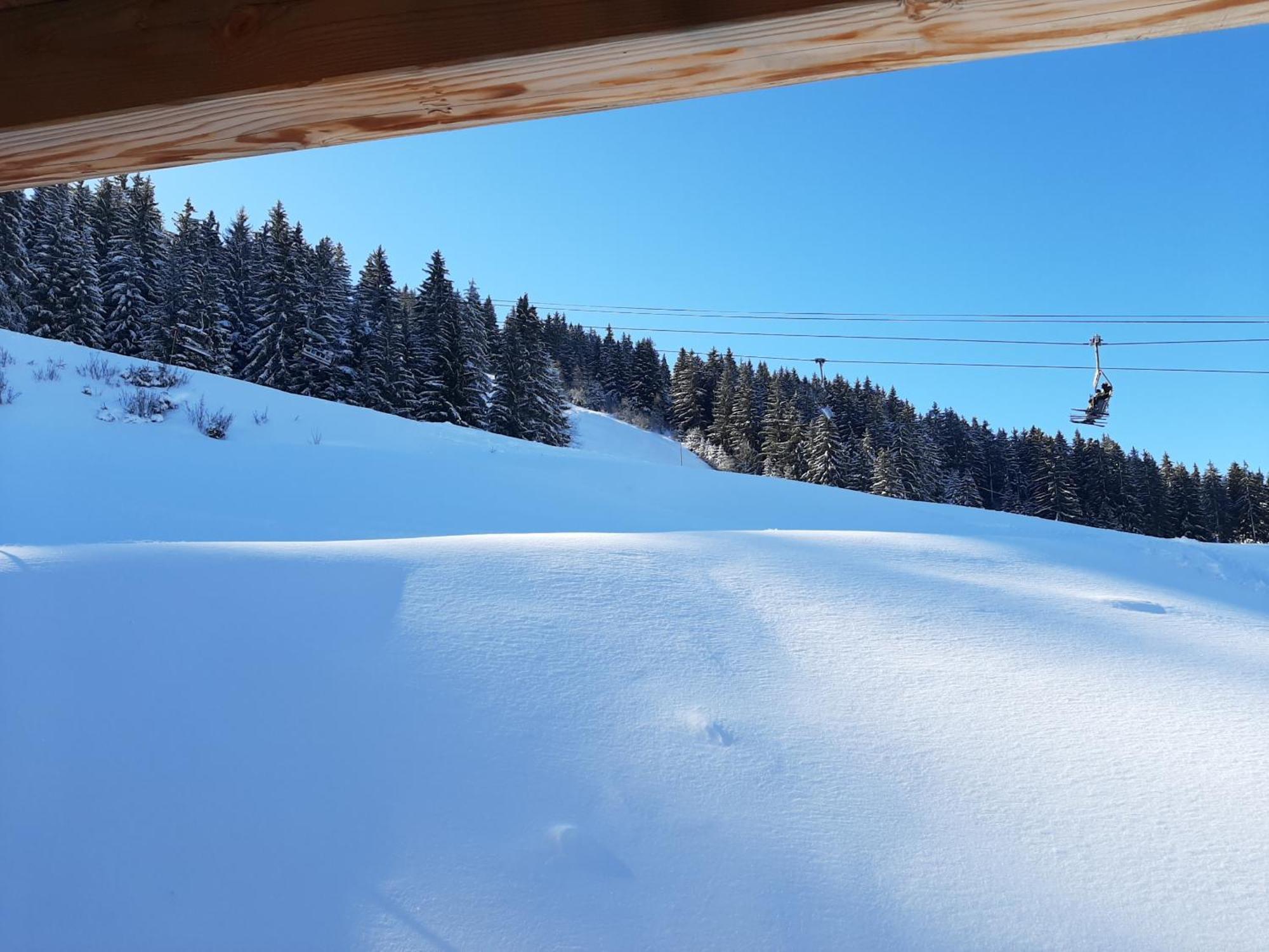 Les 7 Laux Immobilier Chalet F Prapoutel Buitenkant foto